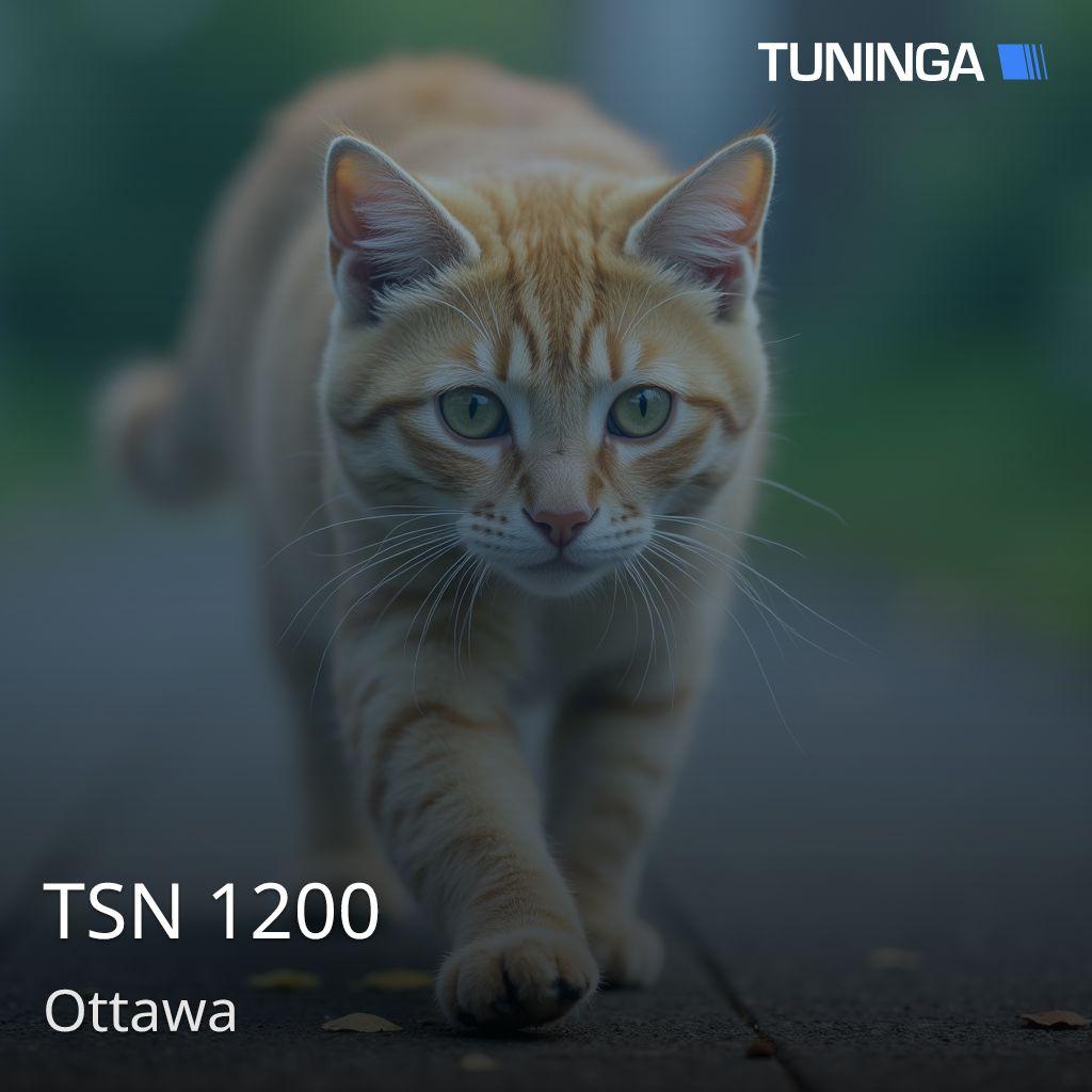 TSN 1200