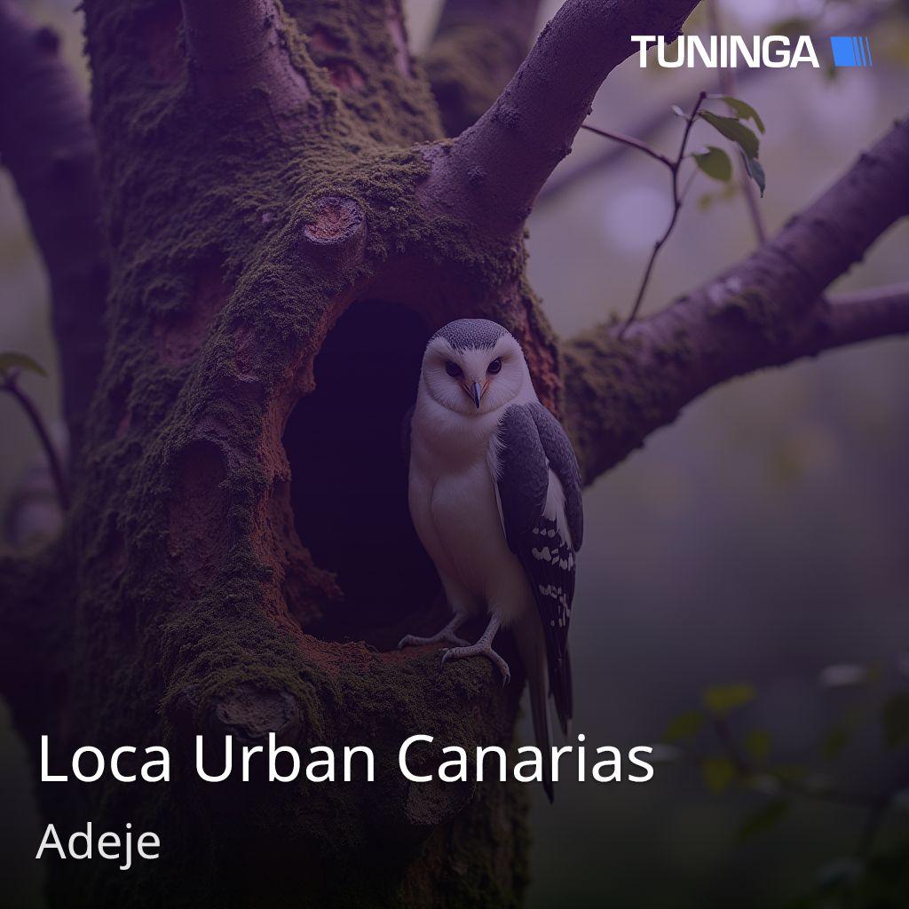 Loca Urban Canarias