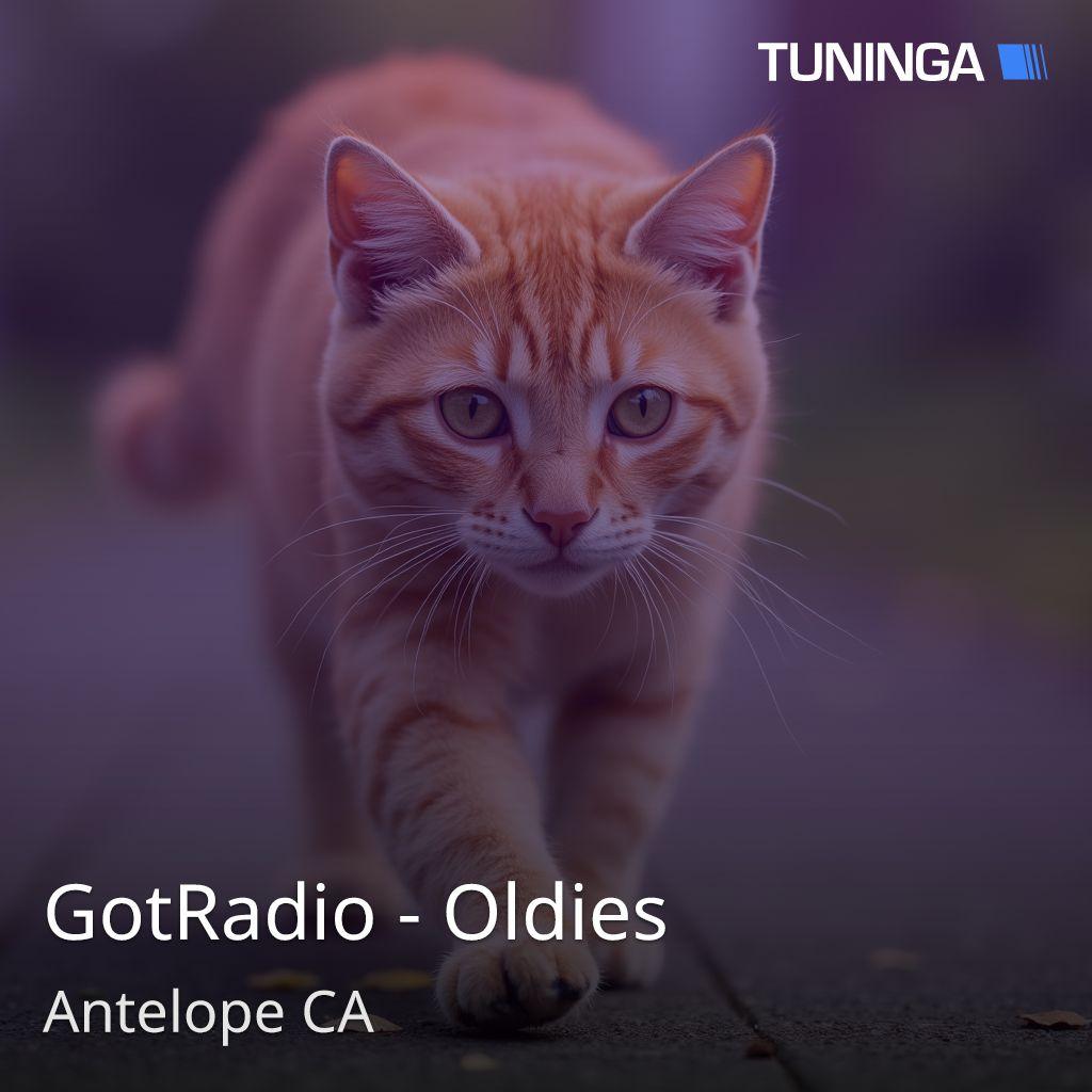 GotRadio - Oldies
