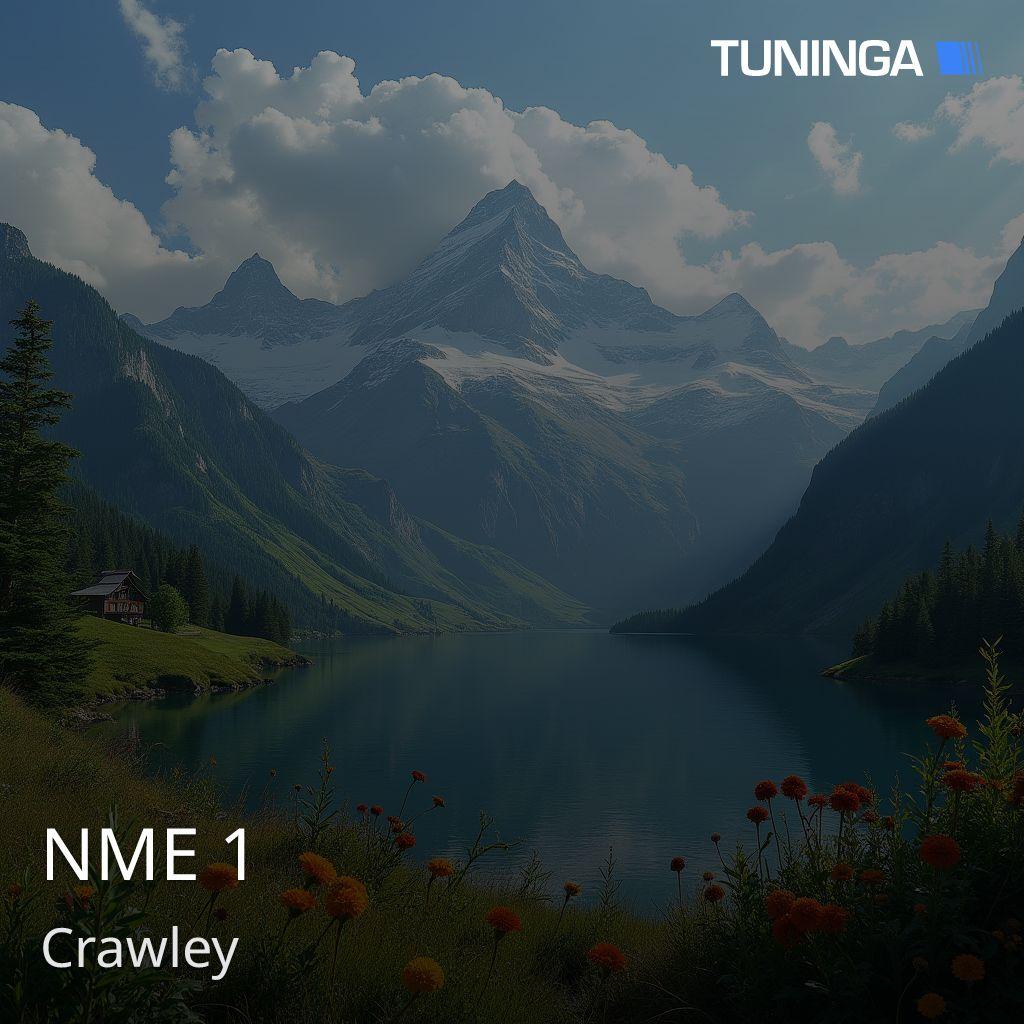 NME 1