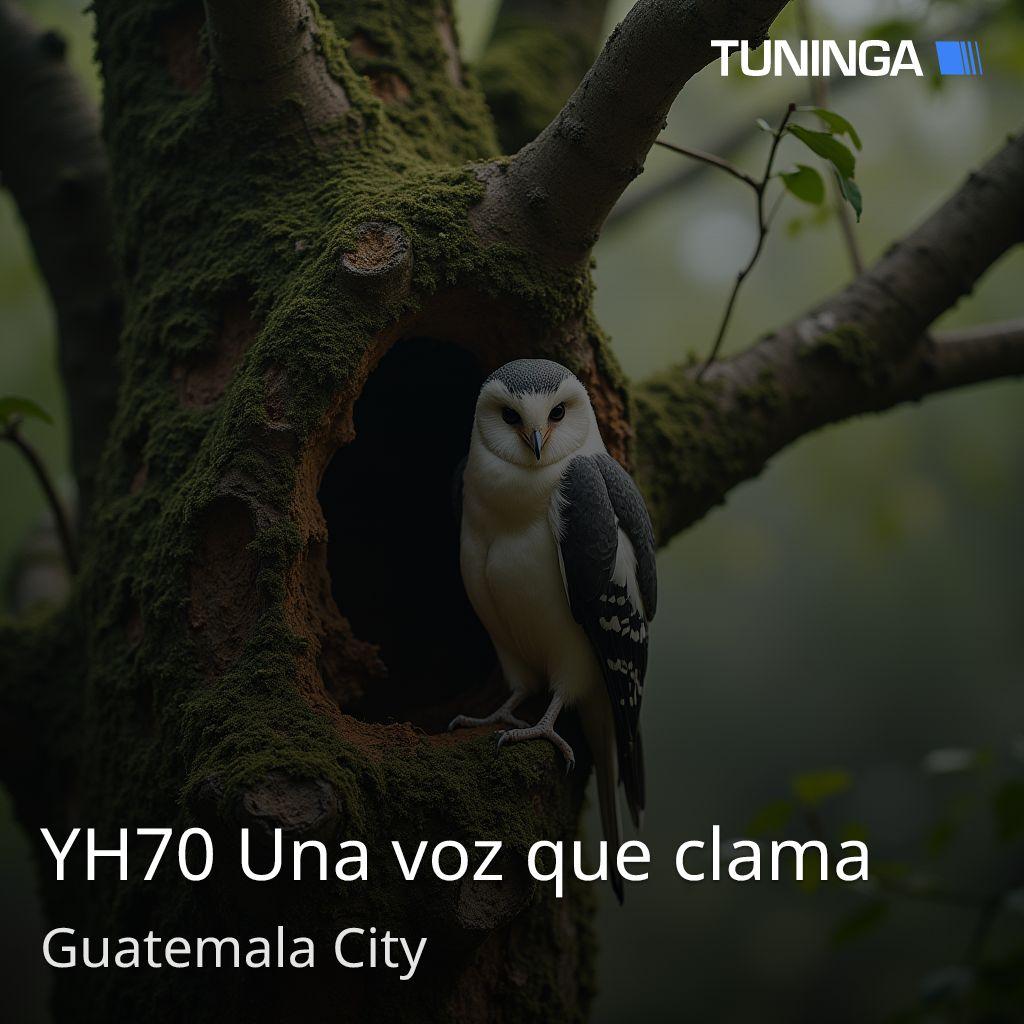 YH70 Una voz que clama