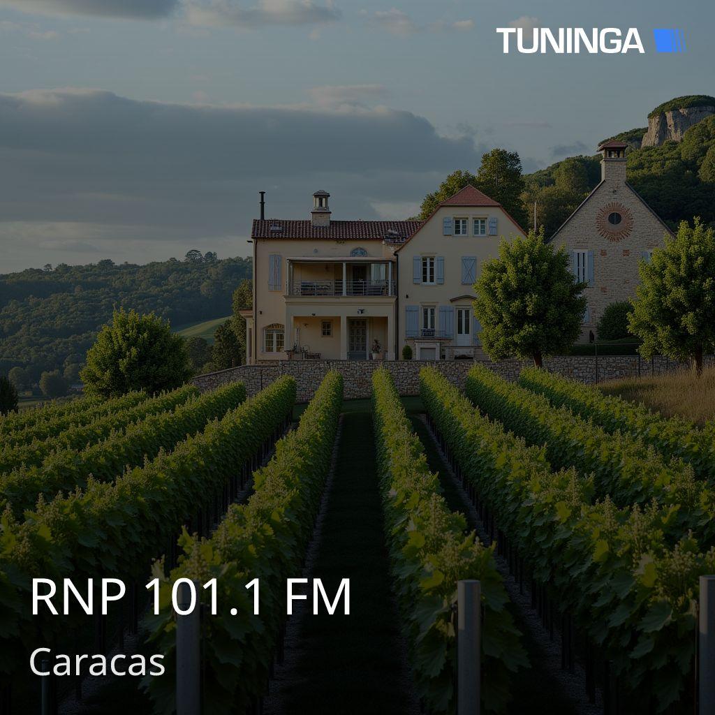RNP 101.1 FM