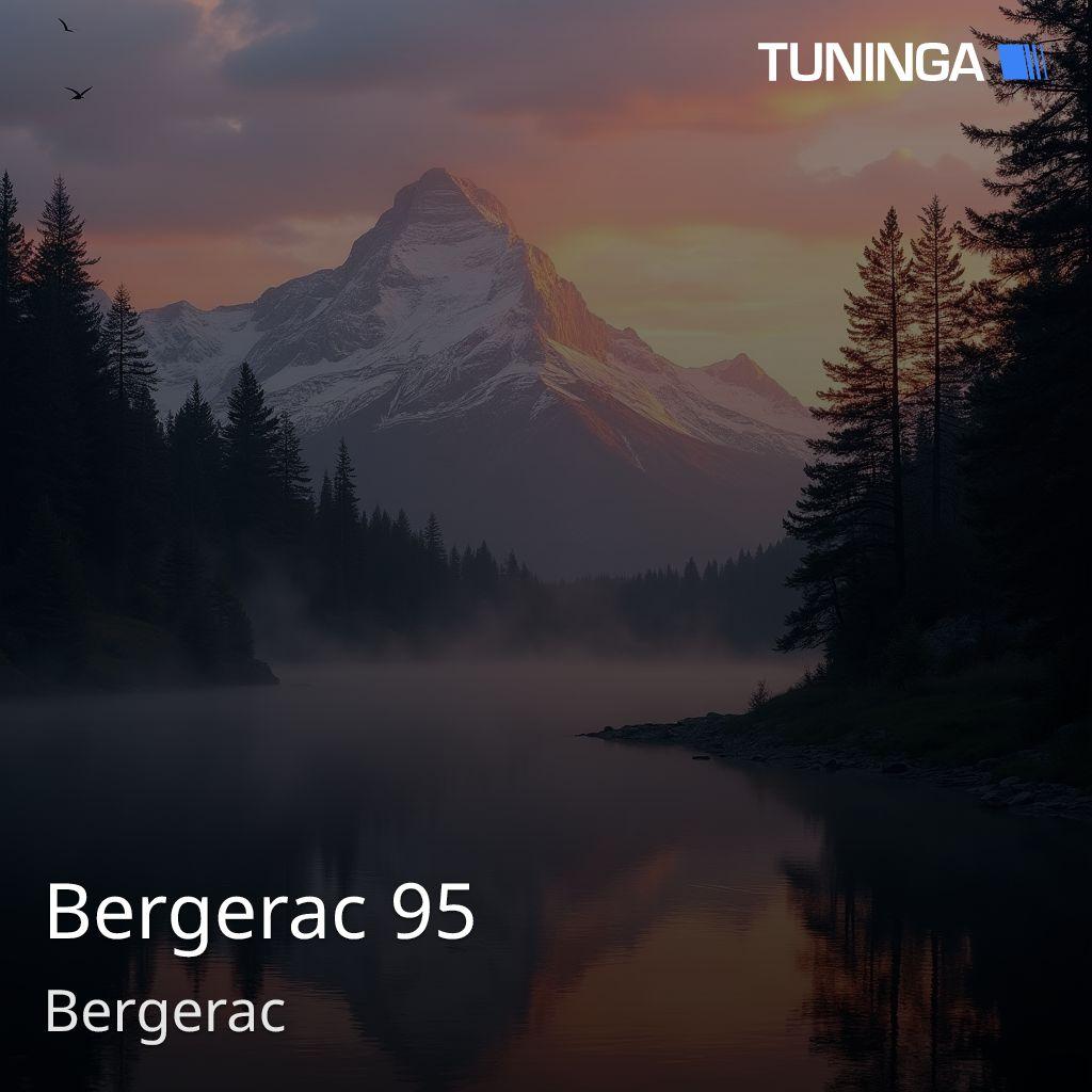 Bergerac 95