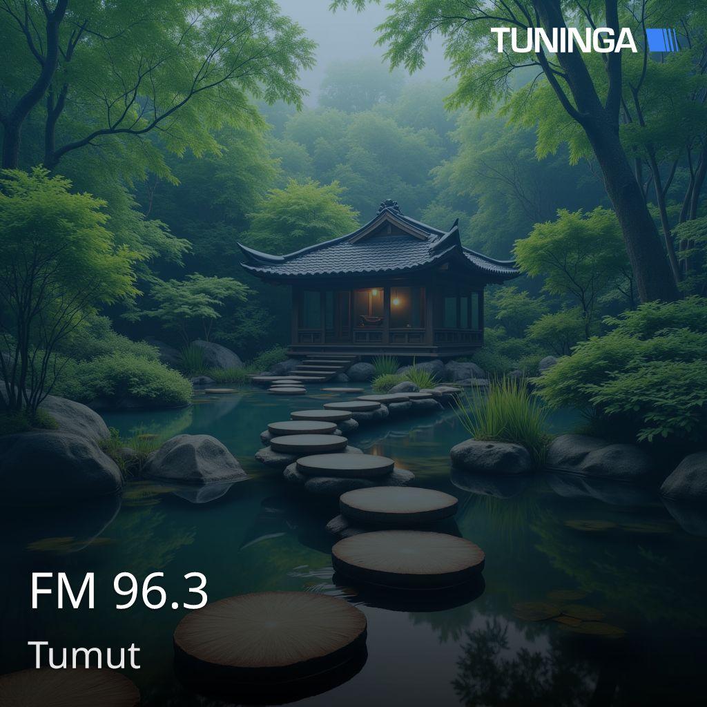 FM 96.3