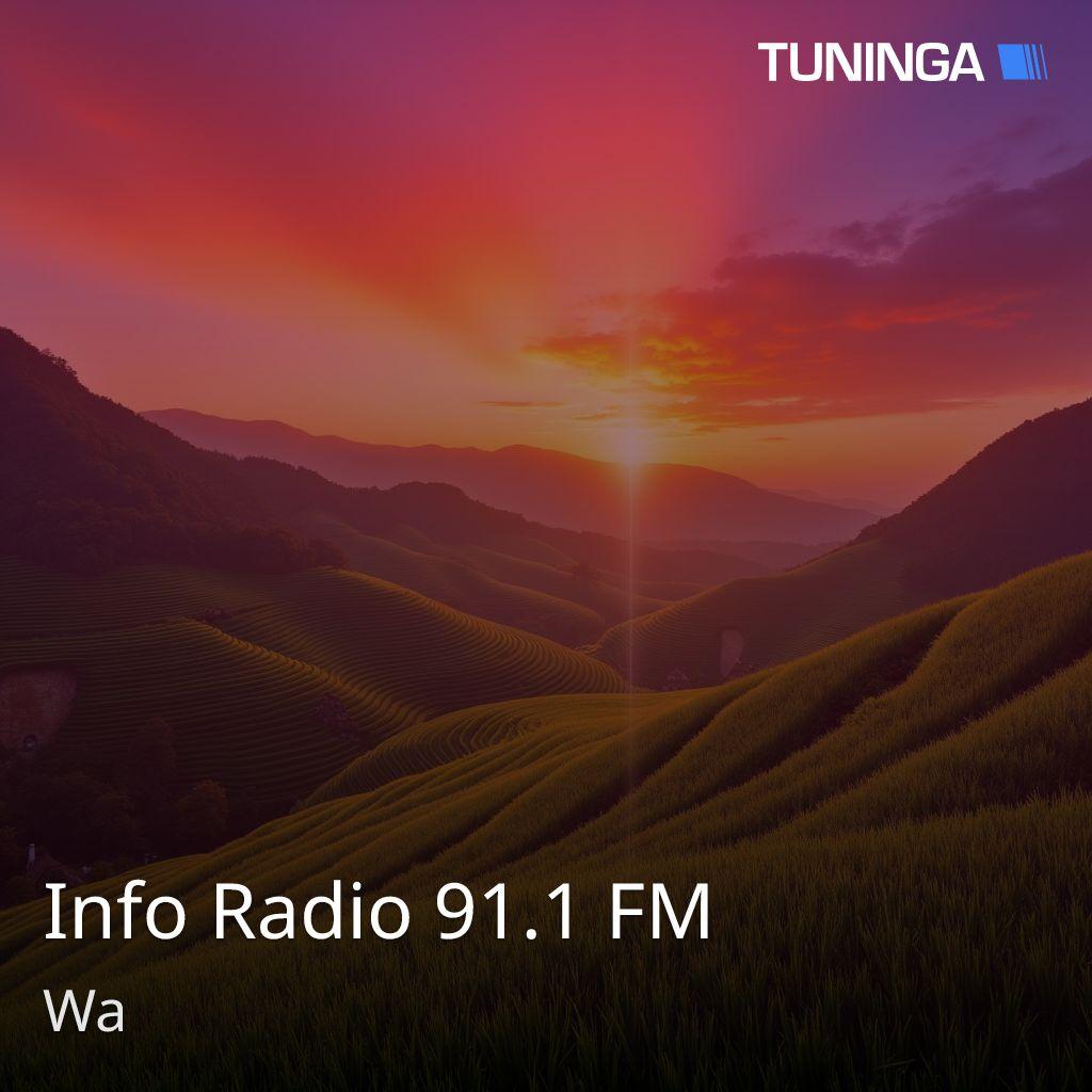 Info Radio 91.1 FM