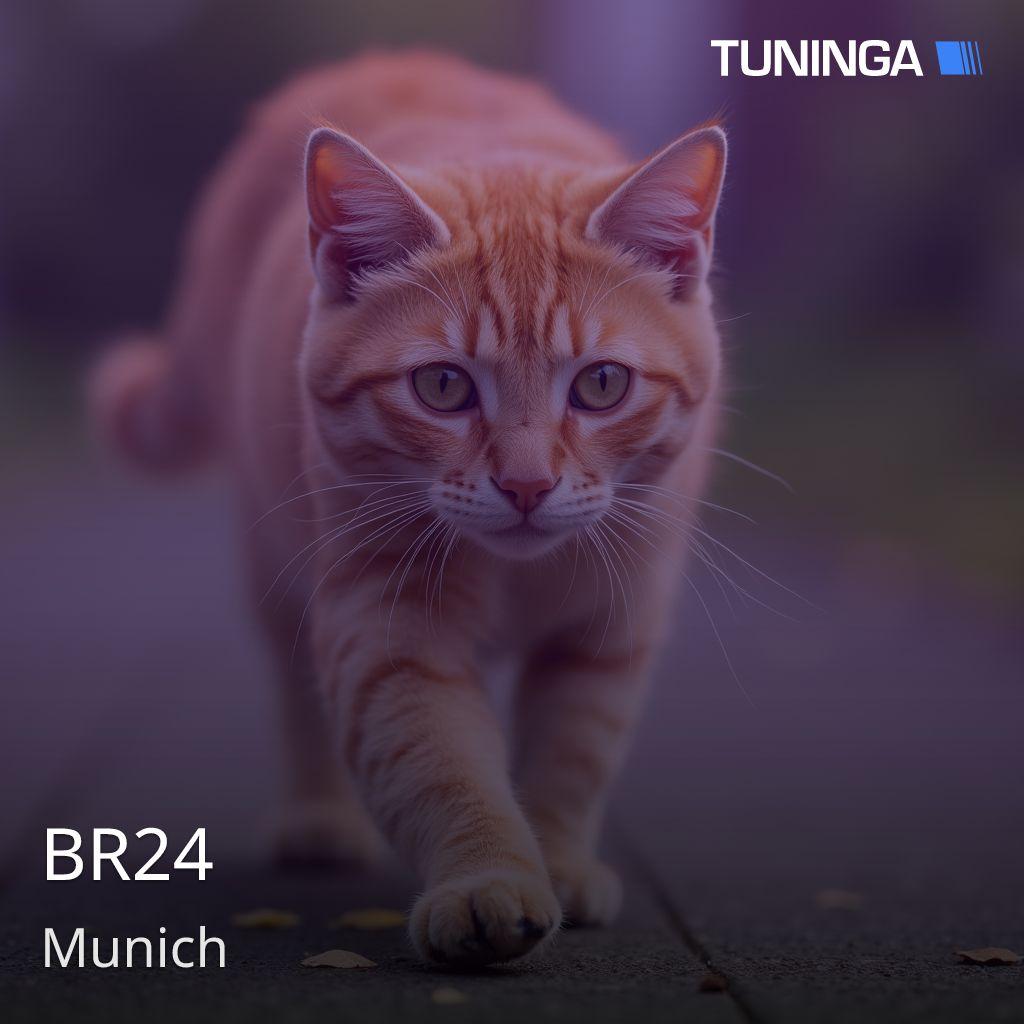 BR24