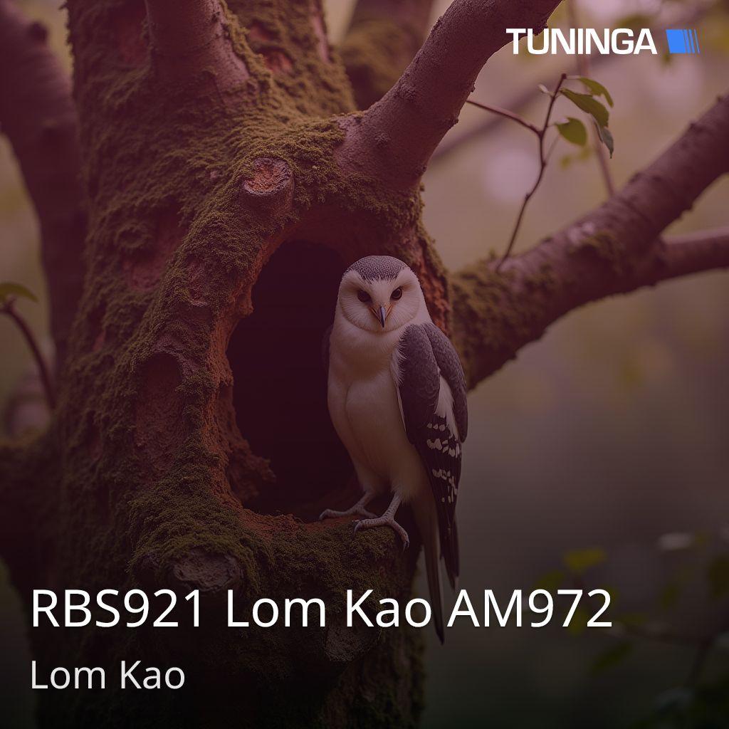 RBS921 Lom Kao AM972