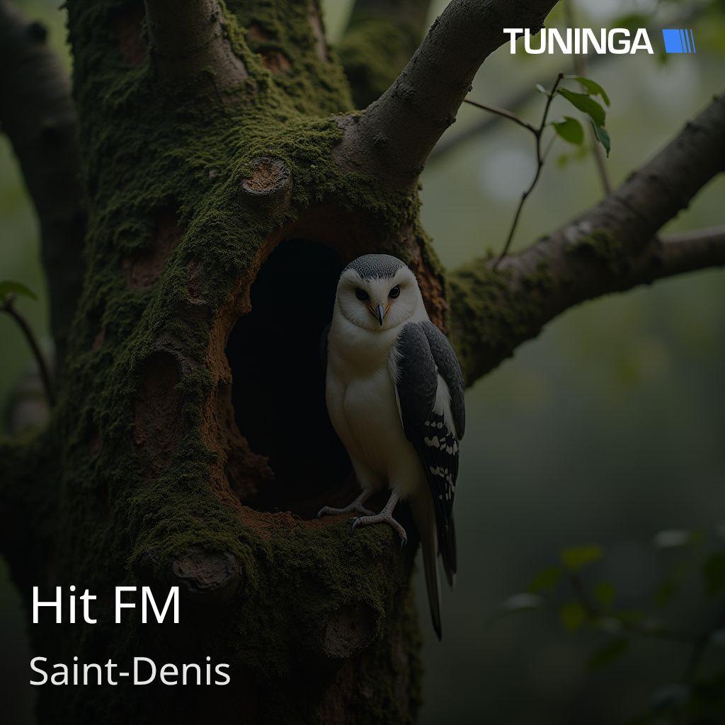 Hit FM
