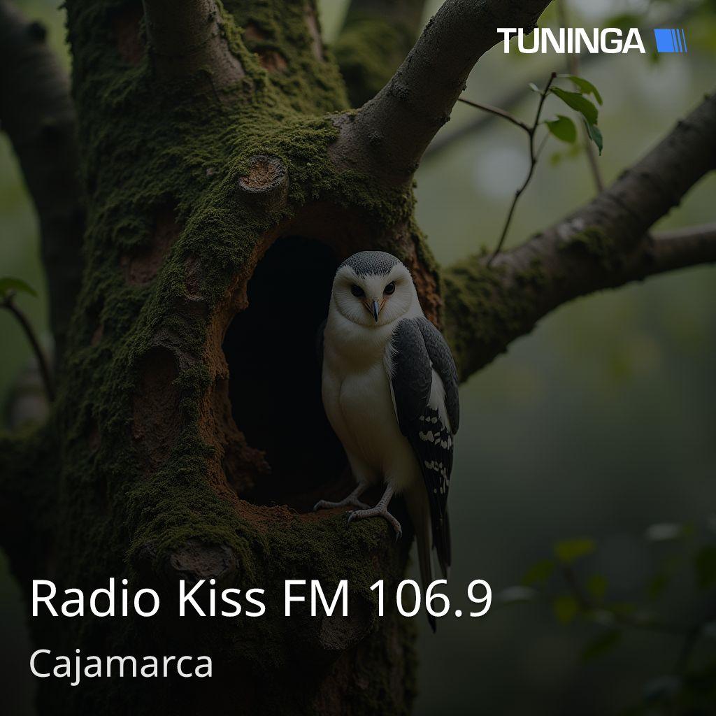 Radio Kiss FM 106.9