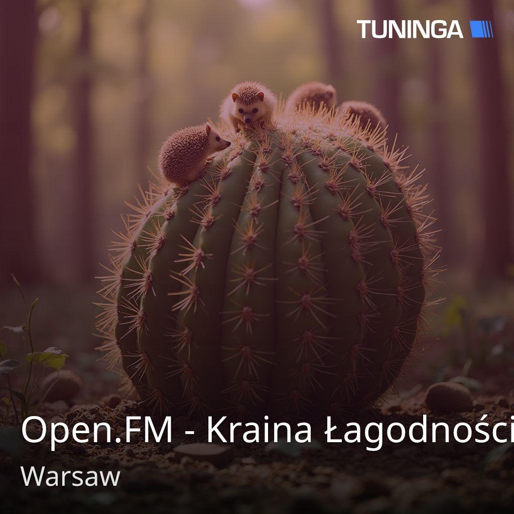 Open.FM - Kraina Łagodności
