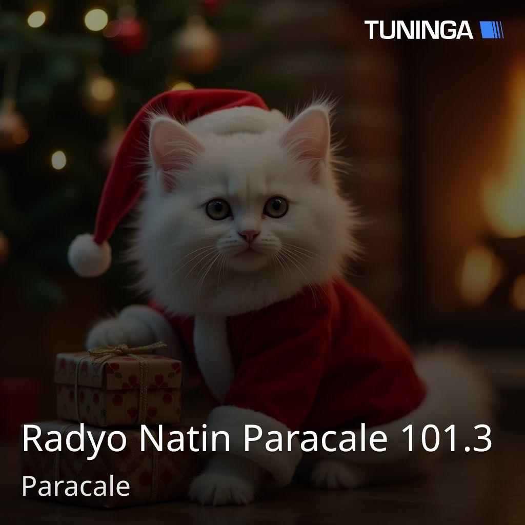 Radyo Natin Paracale 101.3