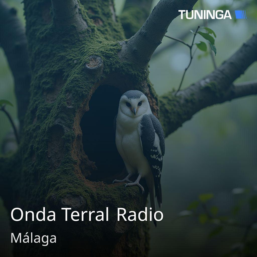 Onda Terral Radio