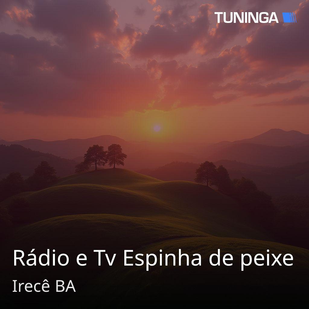 Rádio e Tv Espinha de peixe