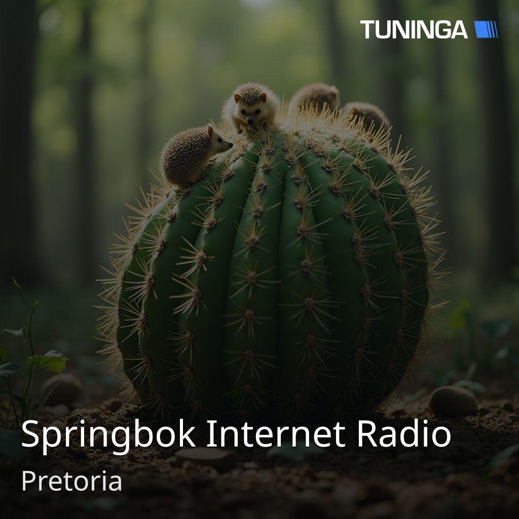 Springbok Internet Radio
