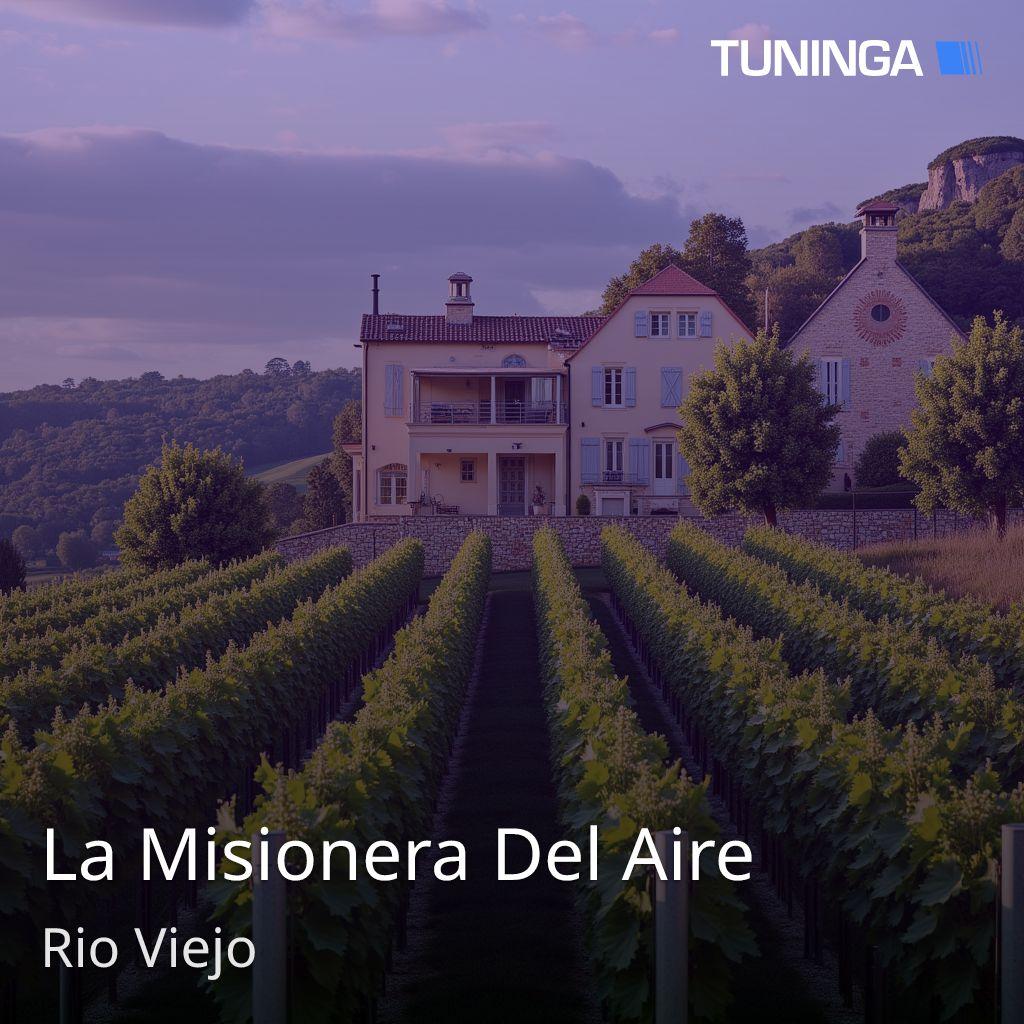 La Misionera Del Aire