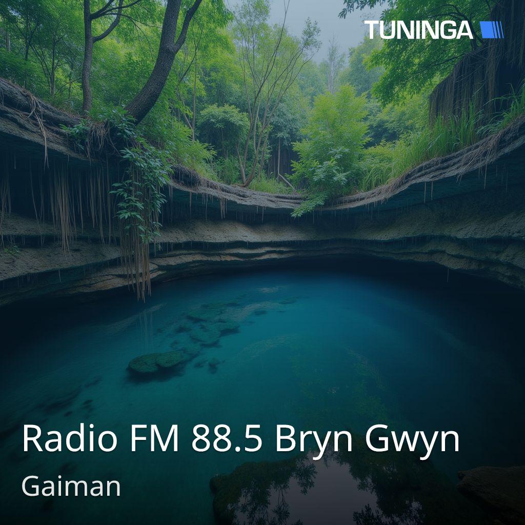 Radio FM 88.5 Bryn Gwyn