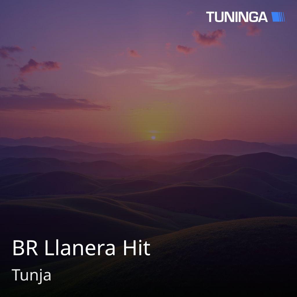BR Llanera Hit