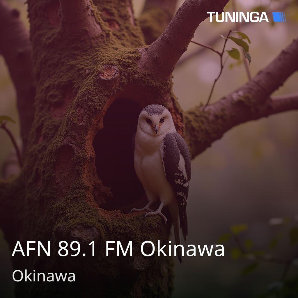 AFN 89.1 FM Okinawa