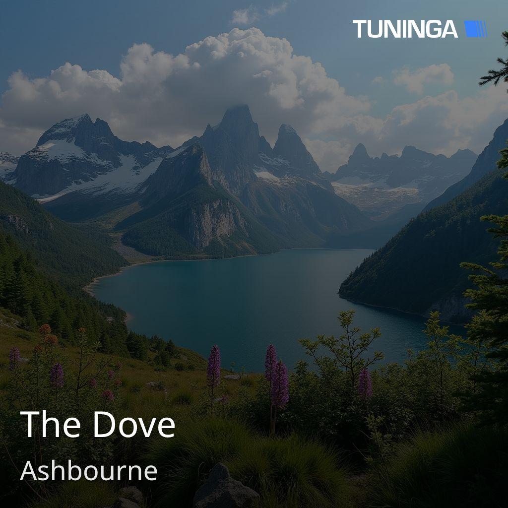 The Dove
