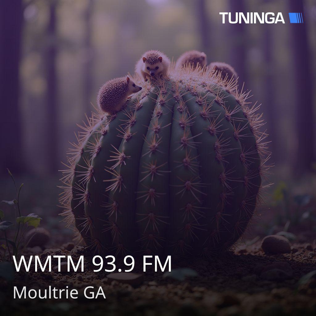 WMTM 93.9 FM
