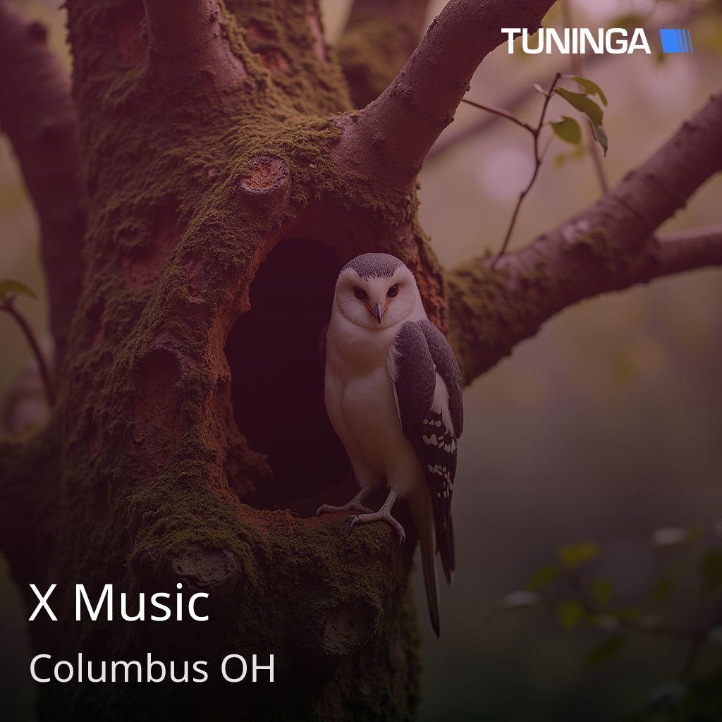 X Music