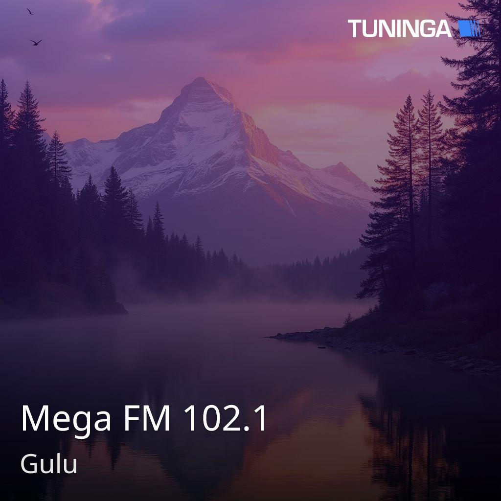 Mega FM 102.1
