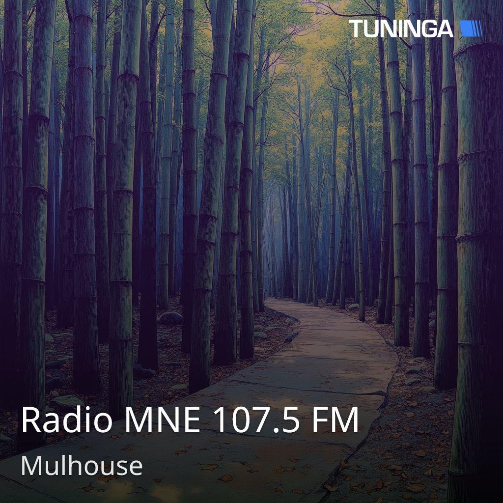 Radio MNE 107.5 FM