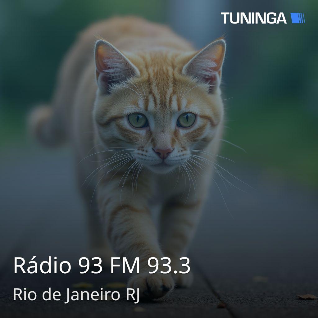 Rádio 93 FM 93.3