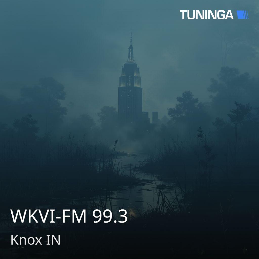 WKVI-FM 99.3