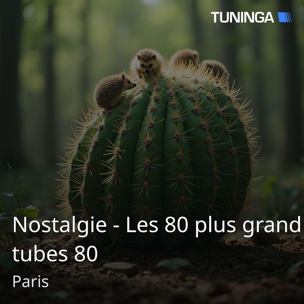 Nostalgie - Les 80 plus grand tubes 80