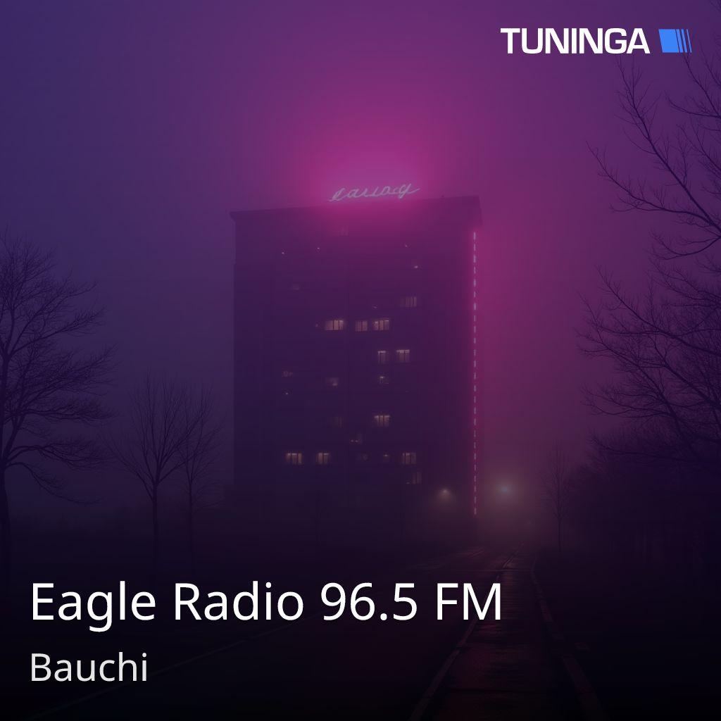 Eagle Radio 96.5 FM