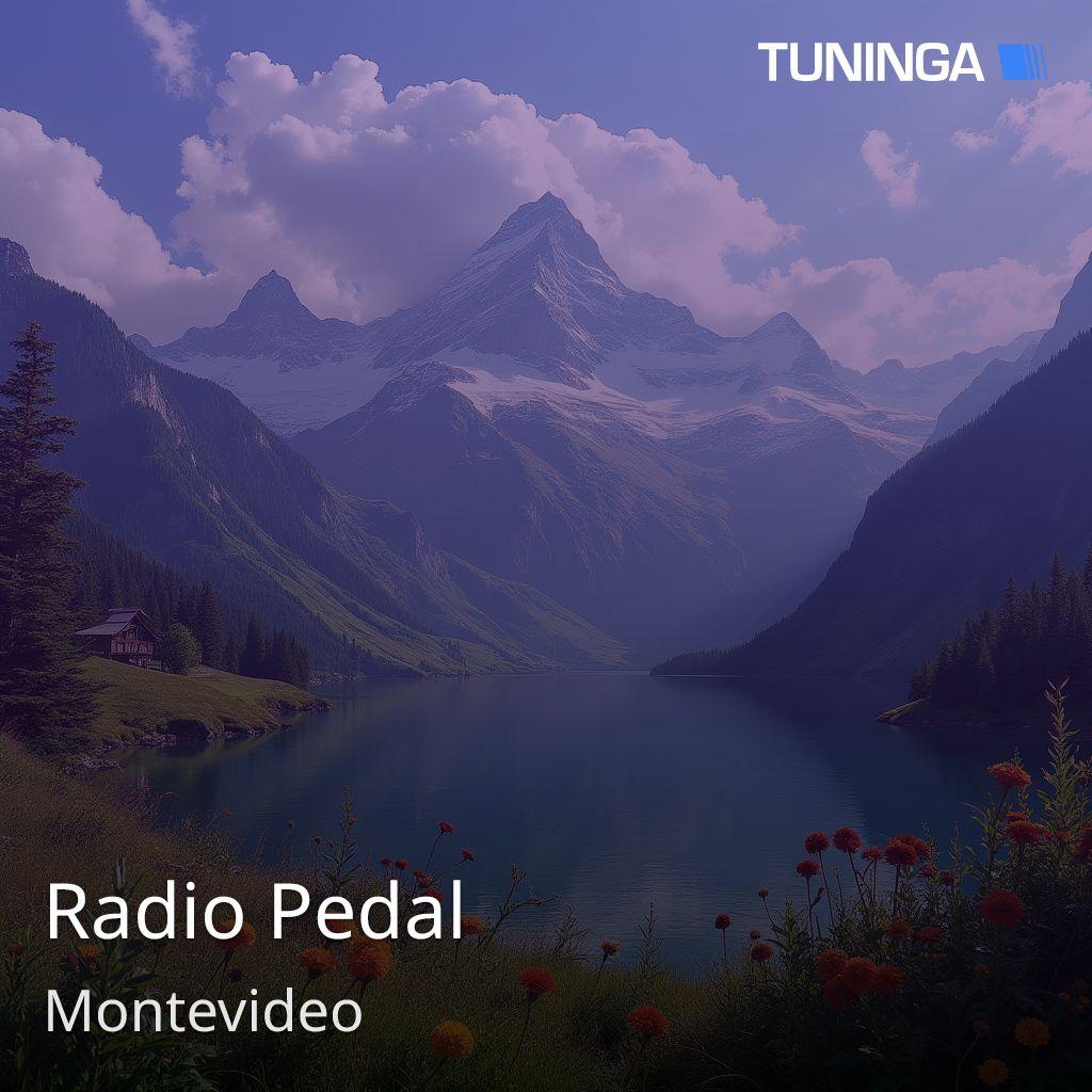 Radio Pedal
