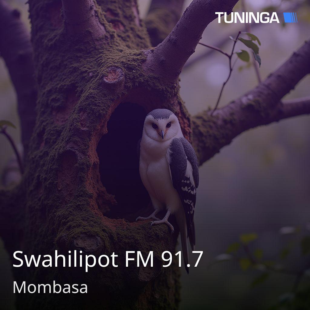 Swahilipot FM 91.7