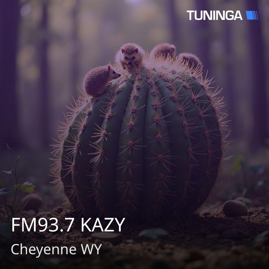 FM93.7 KAZY