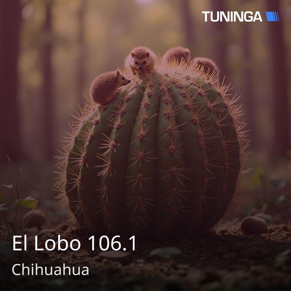 El Lobo 106.1