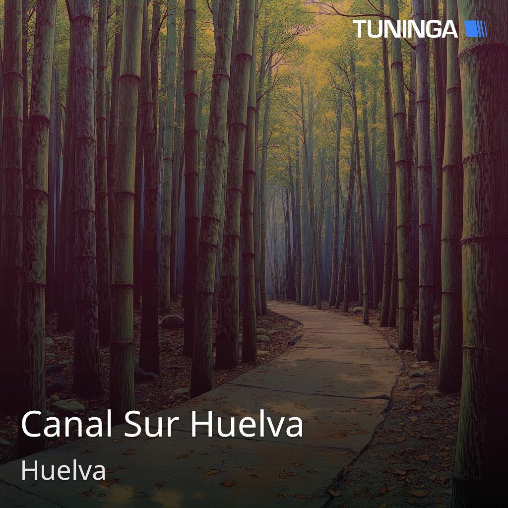 Canal Sur Huelva