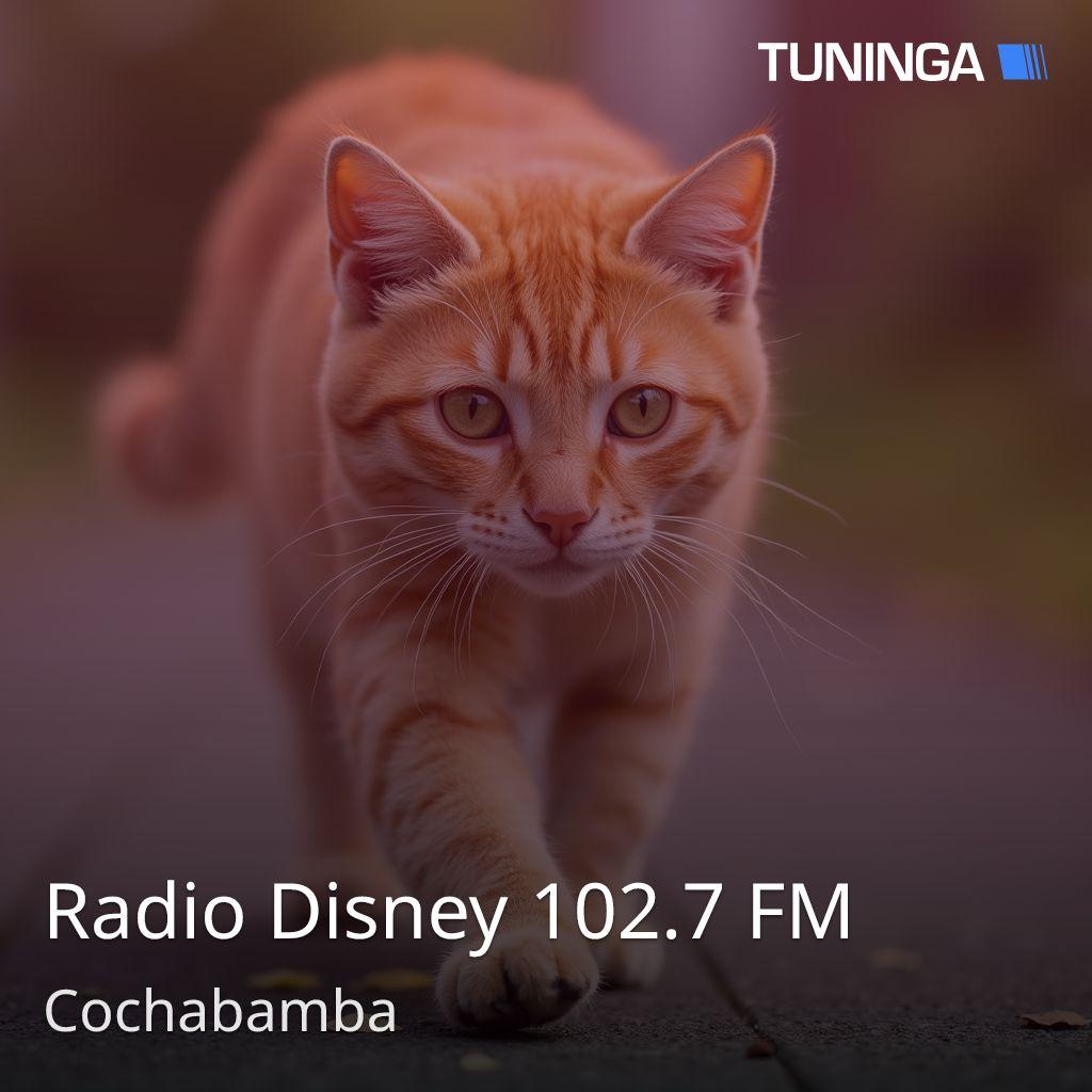 Radio Disney 102.7 FM