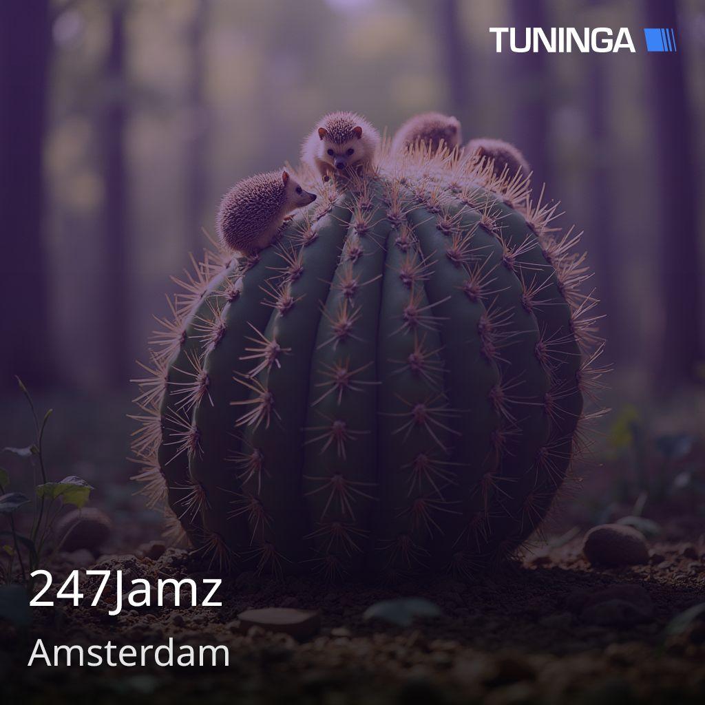 247Jamz