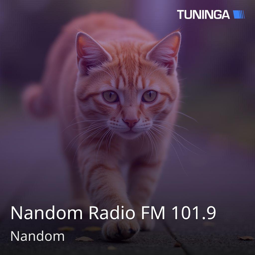 Nandom Radio FM 101.9