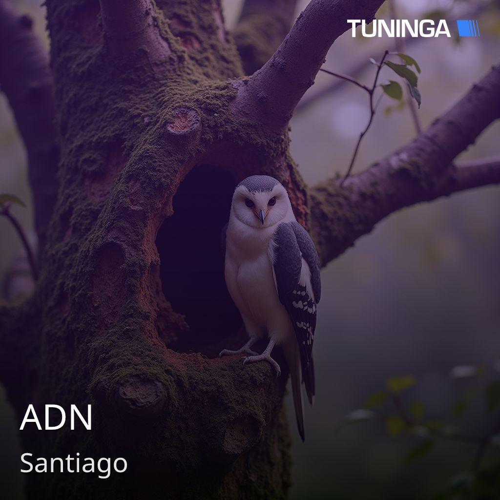 ADN