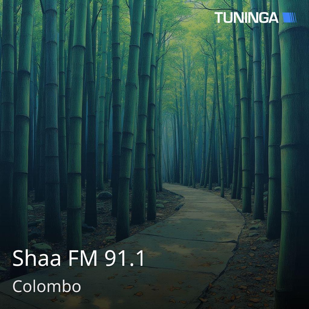 Shaa FM 91.1