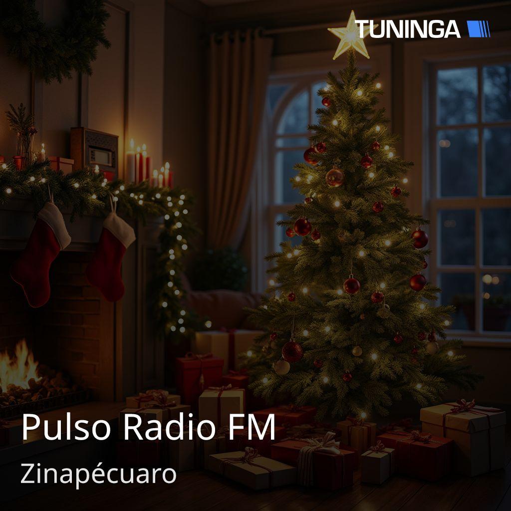 Pulso Radio FM
