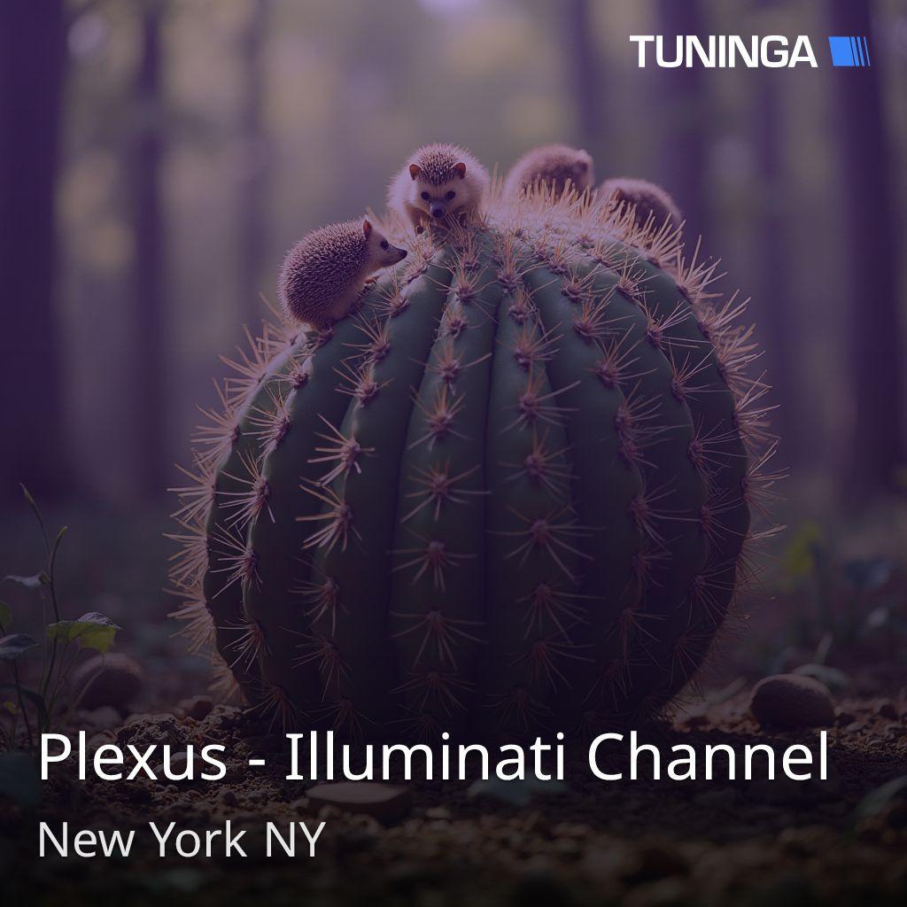 Plexus - Illuminati Channel