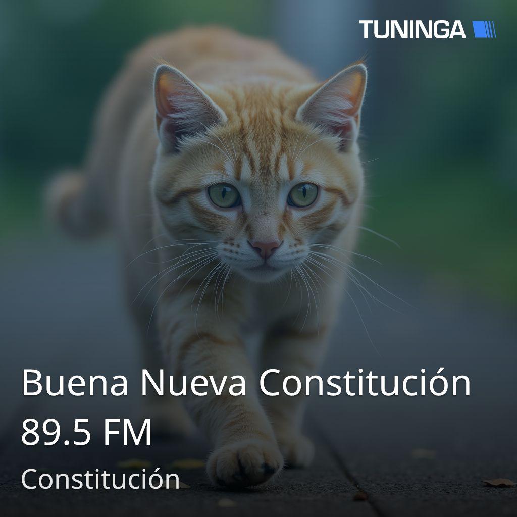 Buena Nueva Constitución 89.5 FM