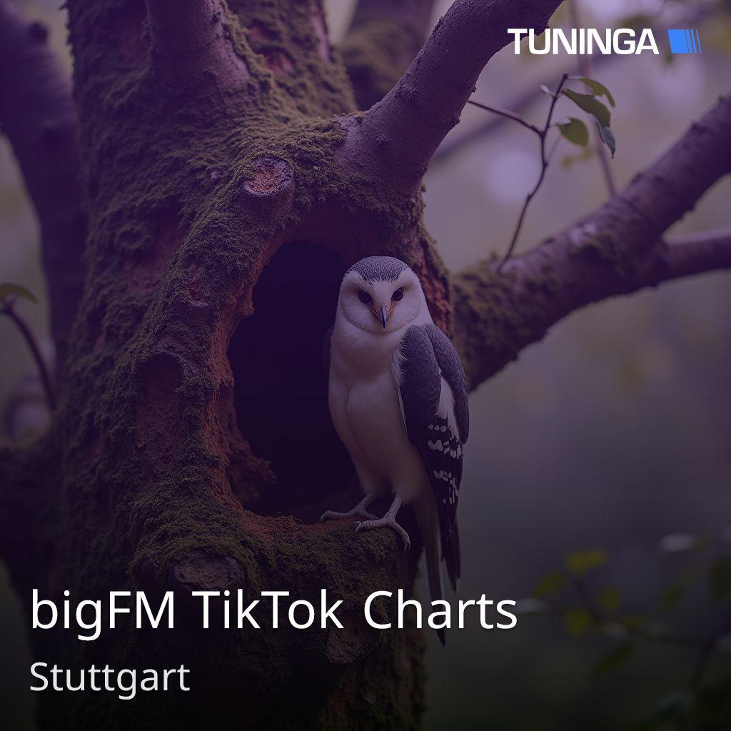 bigFM TikTok Charts