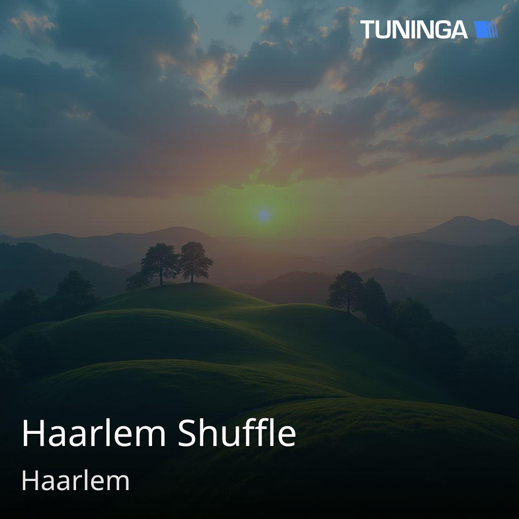 Haarlem Shuffle