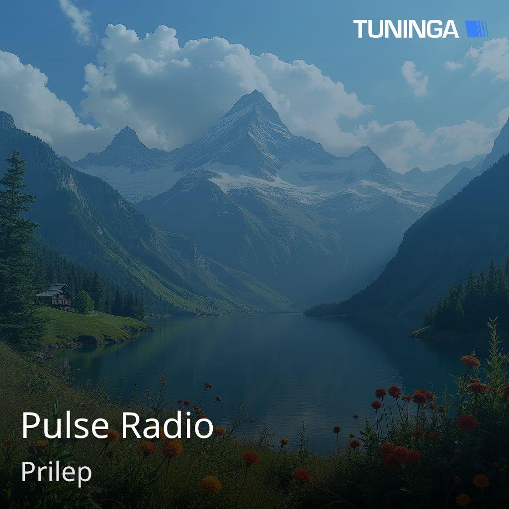 Pulse Radio