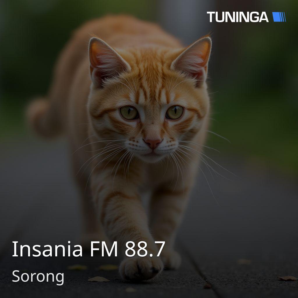Insania FM 88.7