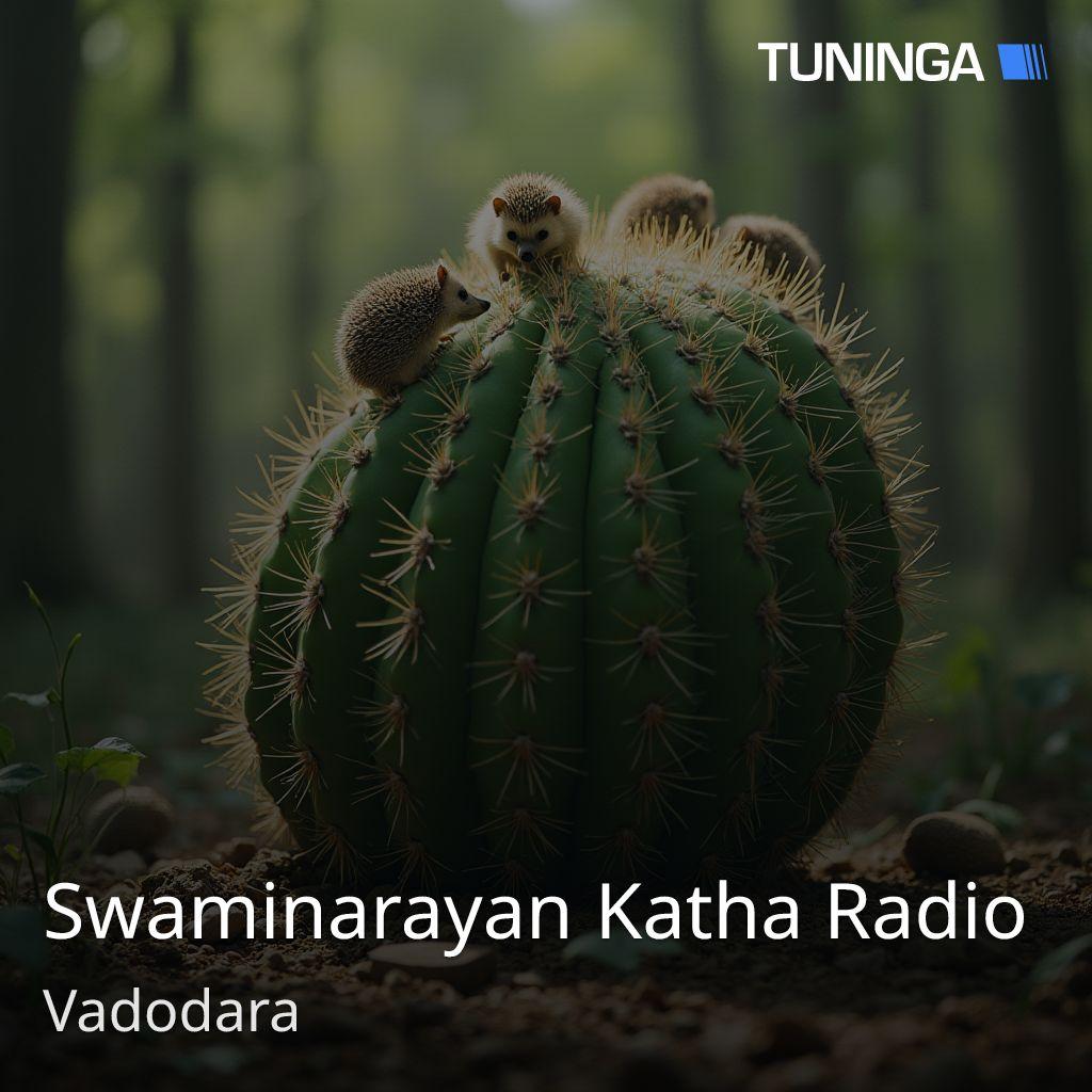 Swaminarayan Katha Radio