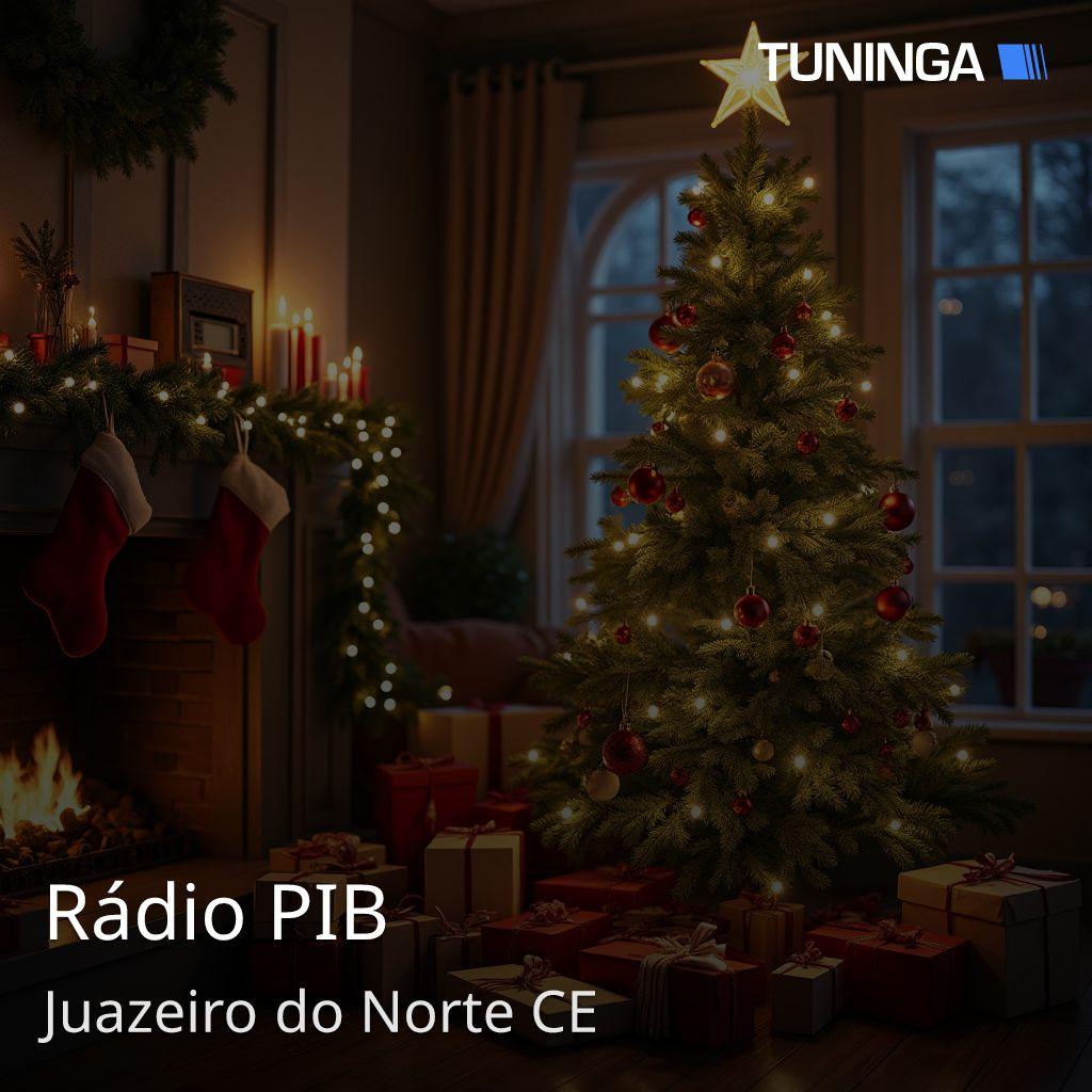 Rádio PIB